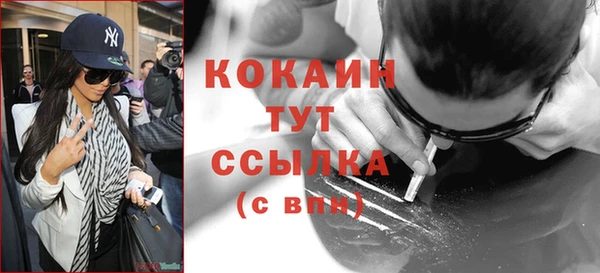 ГАЛЛЮЦИНОГЕННЫЕ ГРИБЫ Заречный